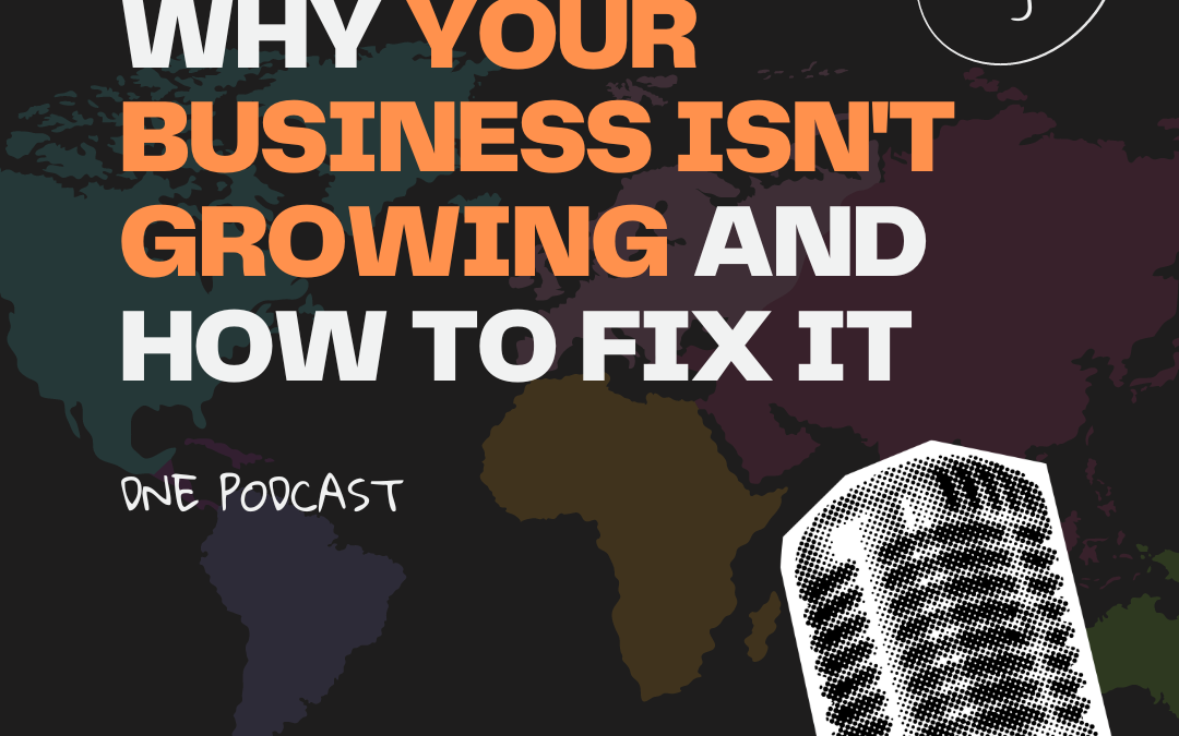 Why Your Business Isn’t Growing And How to Fix It